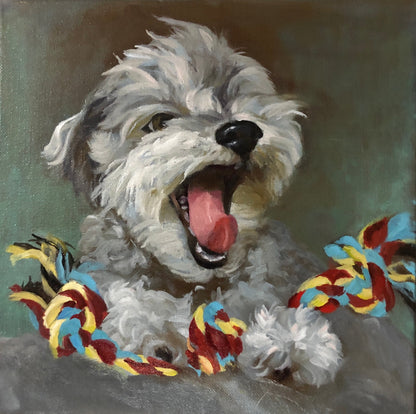 Handmade 10" x 10" Oil Painting of Your Pet by Janet | Support Local Artists