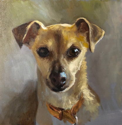 Handmade 10" x 10" Oil Painting of Your Pet by Janet | Support Local Artists