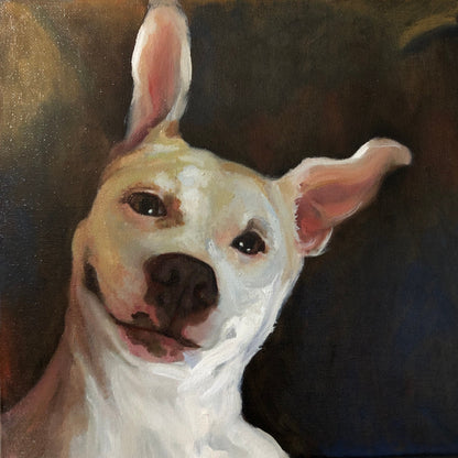 Handmade 10" x 10" Oil Painting of Your Pet by Janet | Support Local Artists