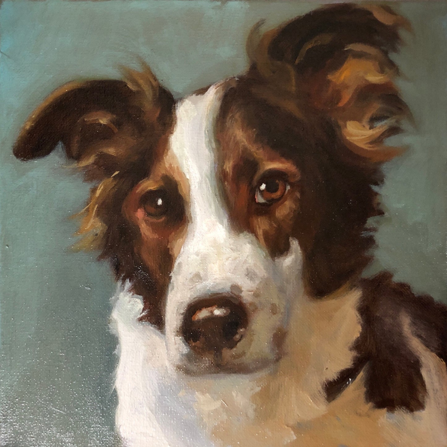 Handmade 10" x 10" Oil Painting of Your Pet by Janet | Support Local Artists