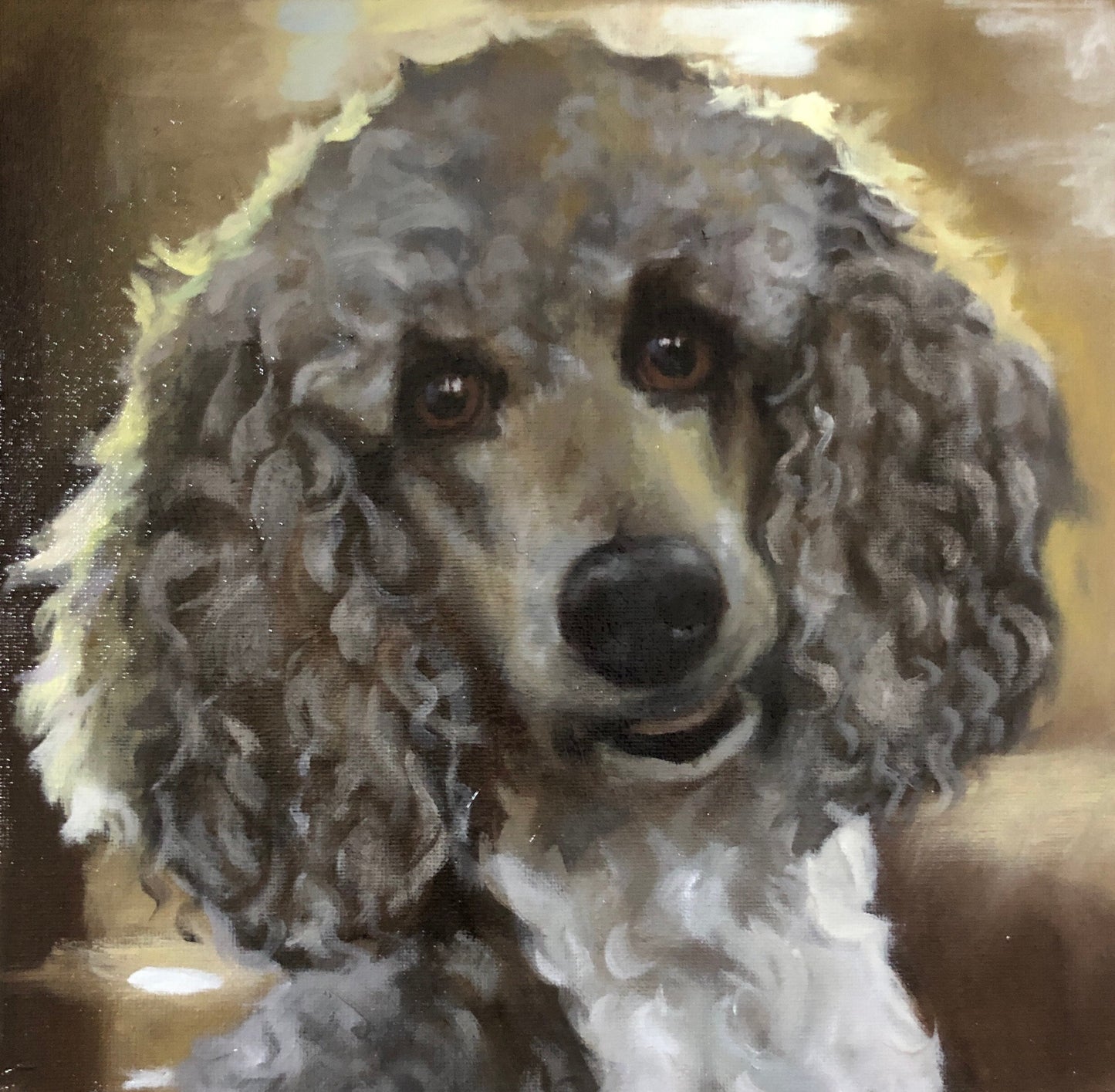 Handmade 10" x 10" Oil Painting of Your Pet by Janet | Support Local Artists