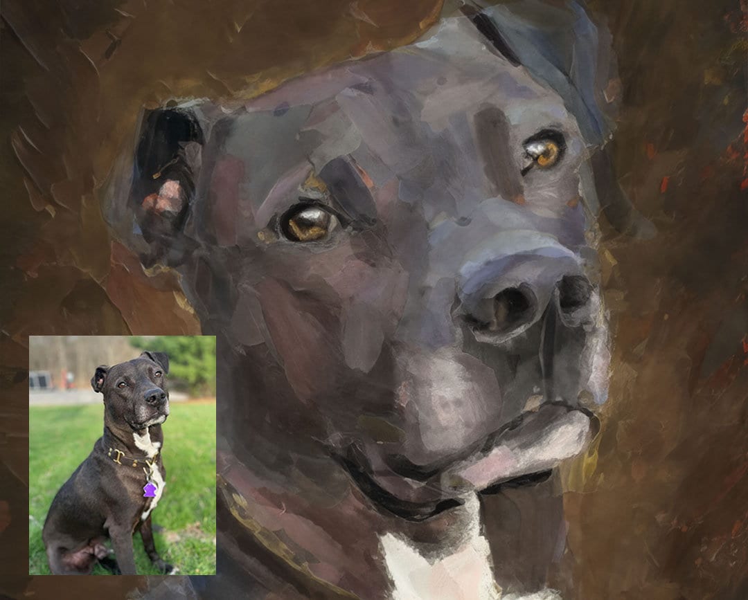 Custom Pet Portraits | Mix of Oil Painting & Watercolor | Support Local Artists