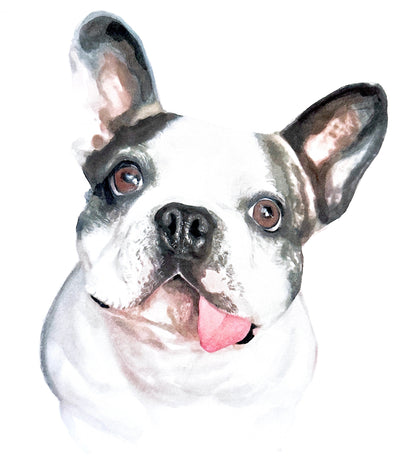 Hand-Painted Pet Portrait From Photo, Custom Watercolor Art, Made to Order Dog & Cat Painting, Family Pet Illustration, Customized