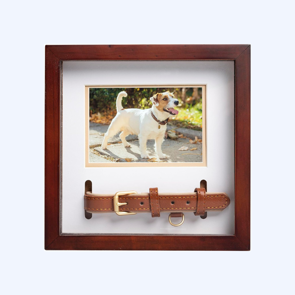 Pet Collar Memorial Keepsake Photo Frame Shadowbox (Espresso)