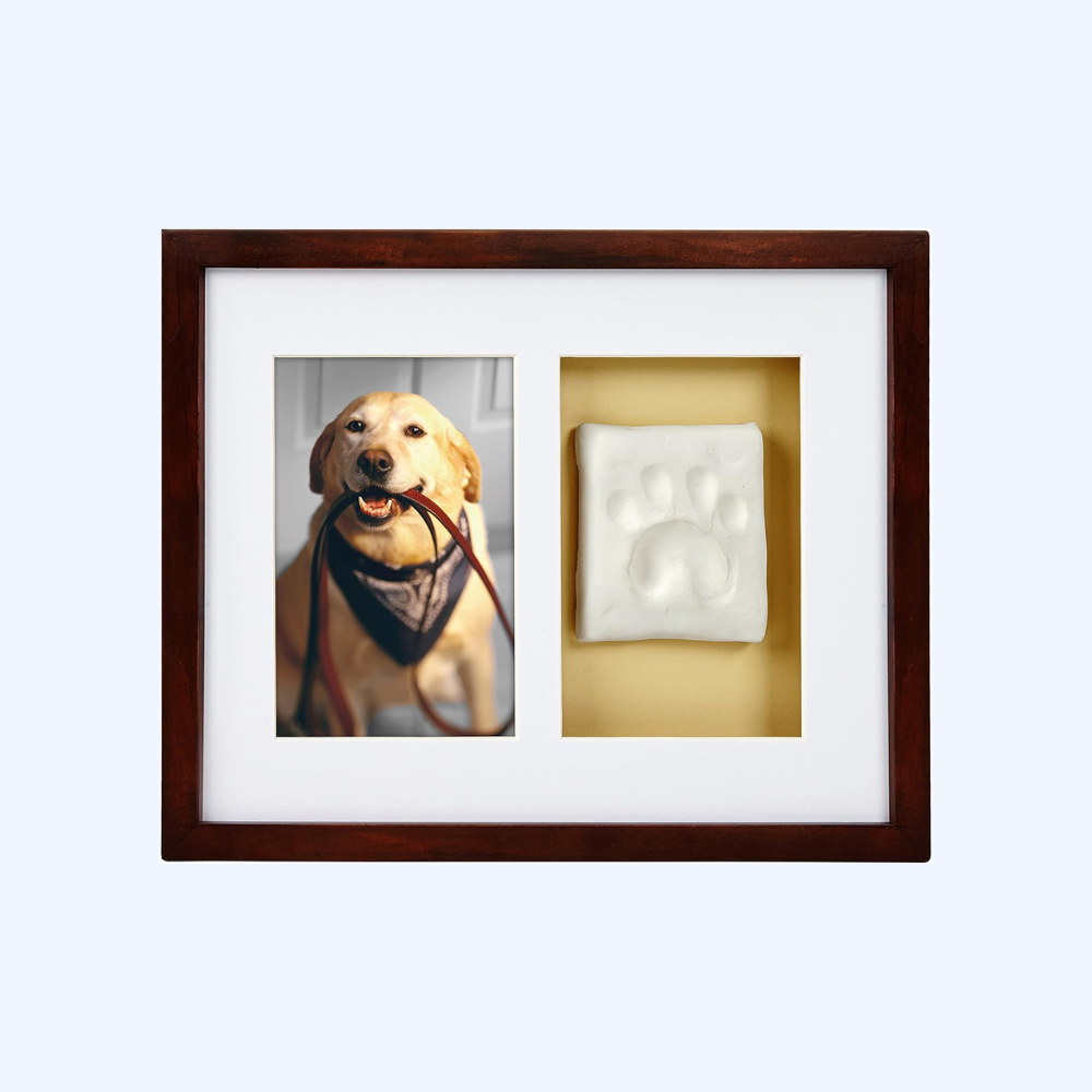 Paw Prints Pet Wall Frame With Clay Imprint Kit (Espresso)