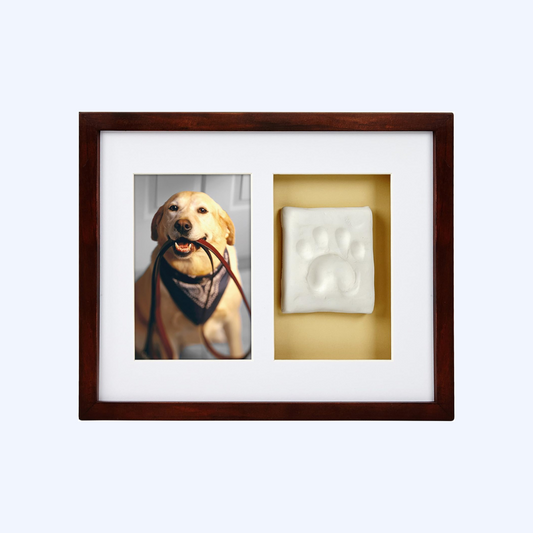 Paw Prints Pet Memorial Wall Frame With Clay Imprint Kit (Espresso)