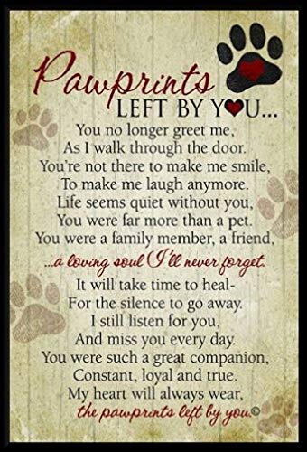 Paw Print Pad - Keep a memory of Your Pet!