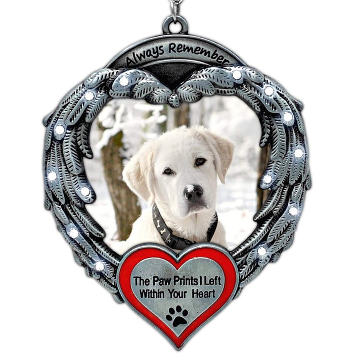 pet memorial pictures