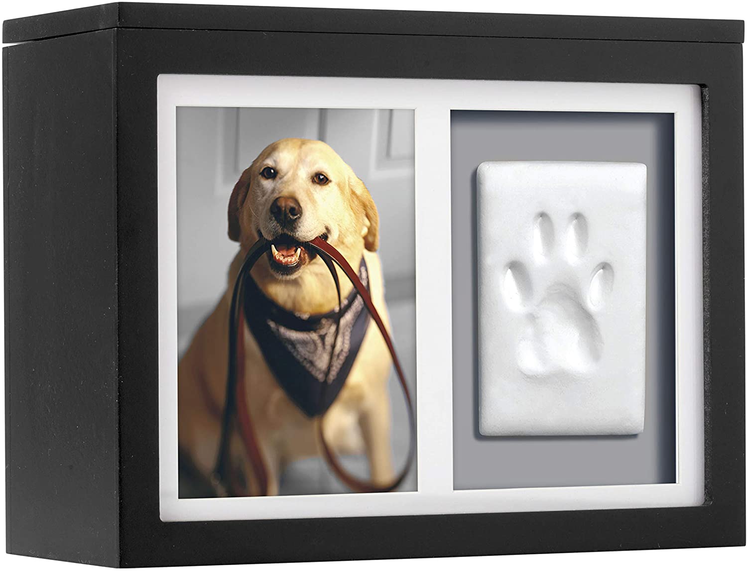 Pearhead Pet Rotating Pet Photo Memory Box and Kit Clay Paw Prin — Pet Memory Shop