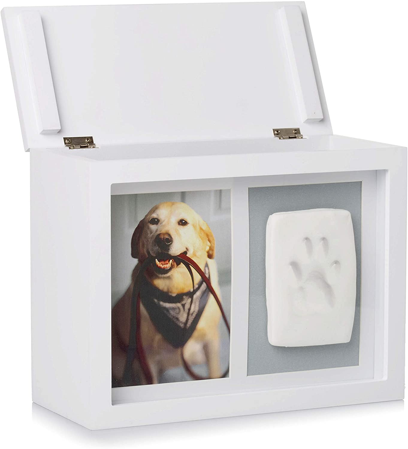 Pet Photo Memory Box and Paw Print + Ink Kit