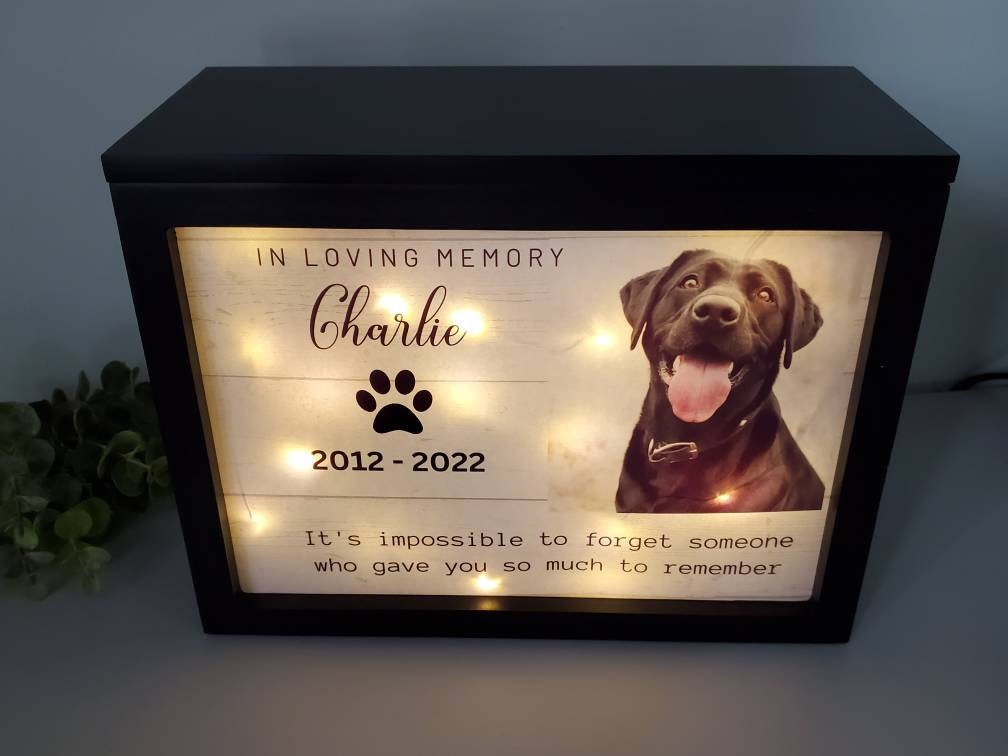 Lighted Pet Memorial Urn with Custom Text, Image, Name, and Dates