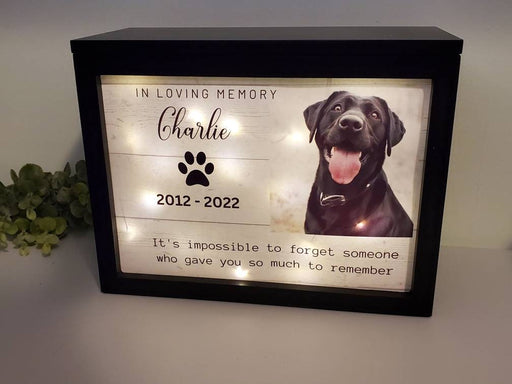 Lighted Pet Memorial Urn with Custom Text, Image, Name, and Dates