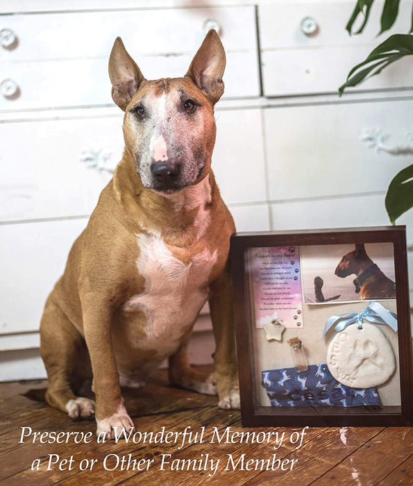  Gognlvn Pet Memorial Shadow Box with Clay Paw Print Impression  Kit,Dog Wood Picture Frame Ornament as Loss Pet Keepsake and Gifts for Pet  Lover : Pet Supplies